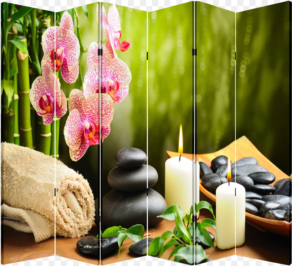 Panel Folding Screen Room Canvas Divider Hotstones Hotel, Flower, Plant, Candle, Spa Png