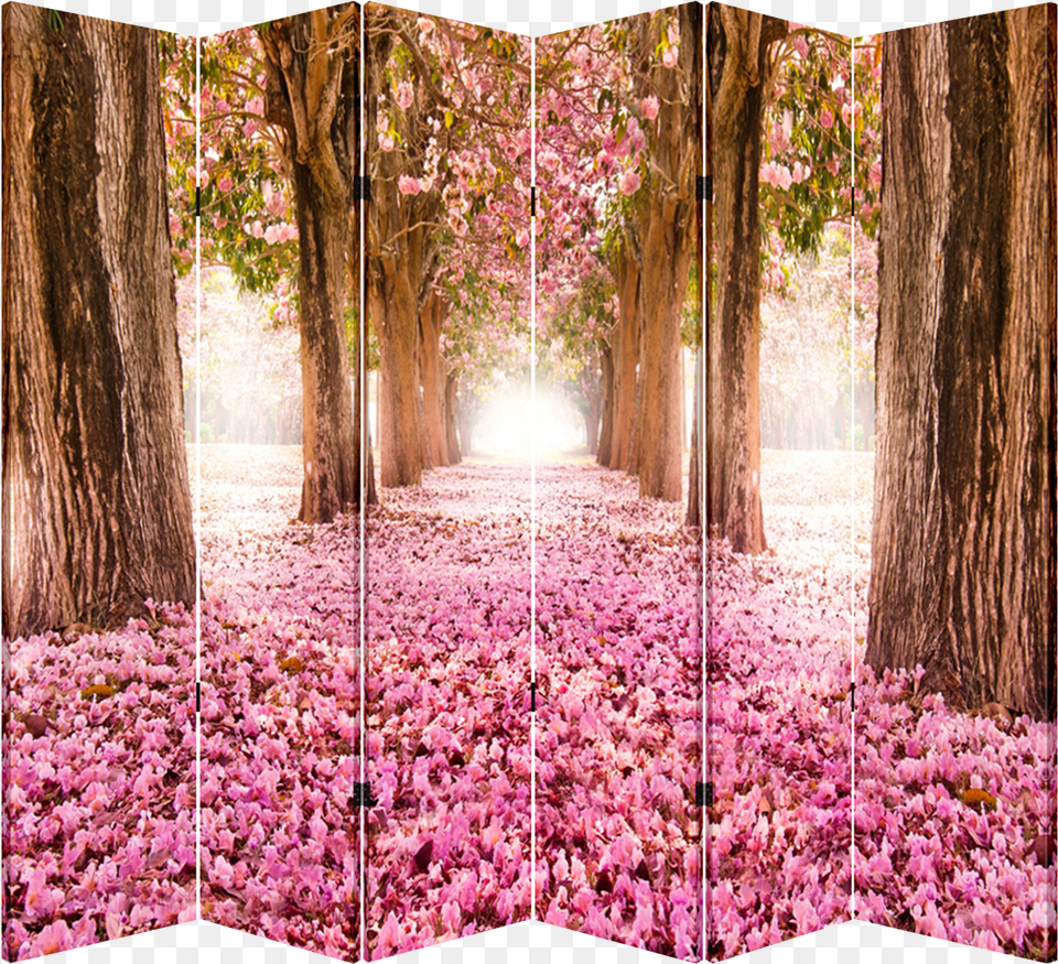 Panel Folding Screen Room Canvas Divider Pink Pathway, Flower, Vegetation, Tree, Plant Free Transparent Png
