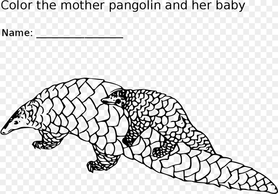 Pangolin Mother And Baby Coloring, Gray Free Png