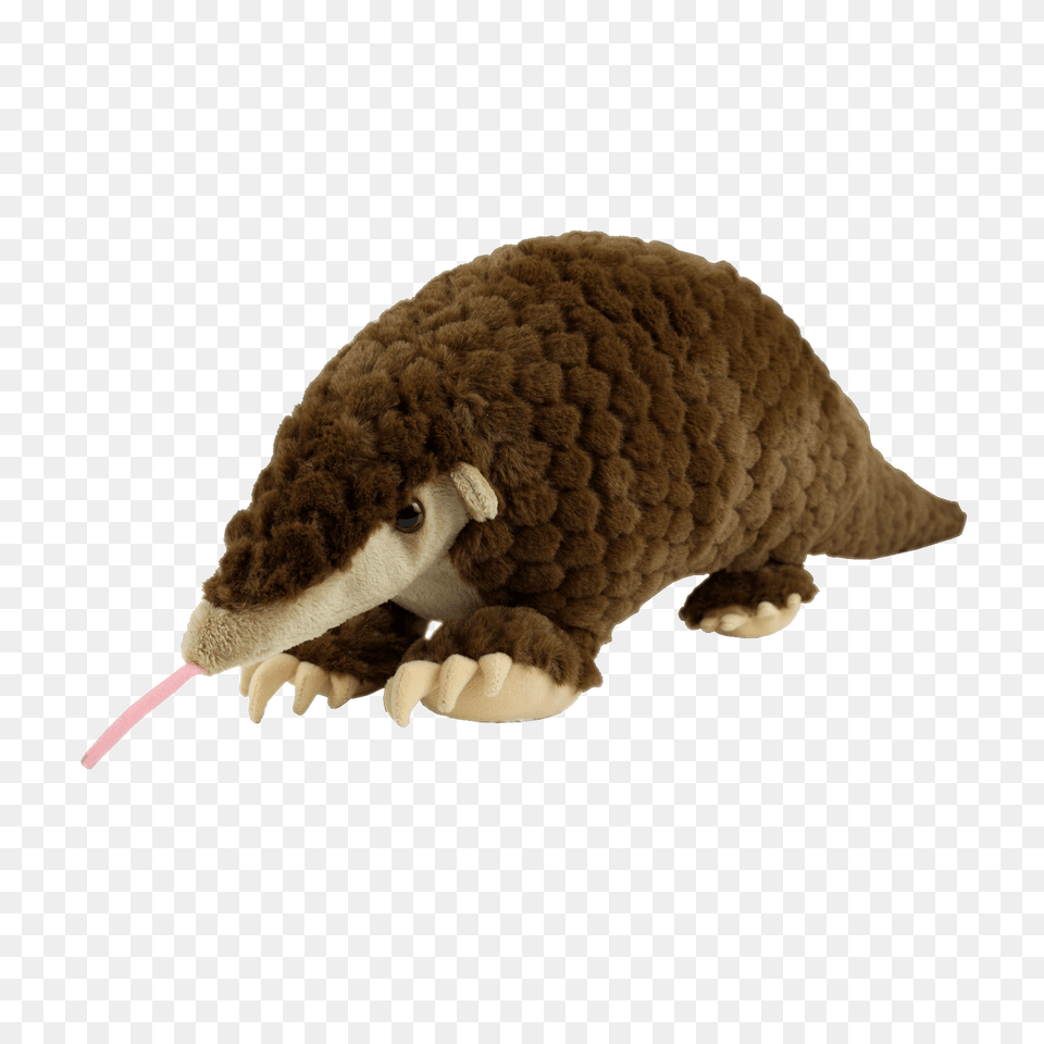 Pangolin Toy, Animal, Mammal, Bear, Wildlife Png