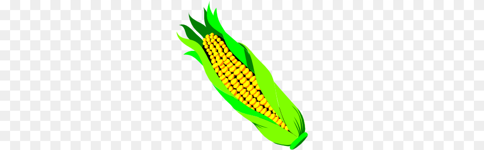 Pannocchia Di Gran Turco Clip Art, Corn, Food, Grain, Plant Png Image
