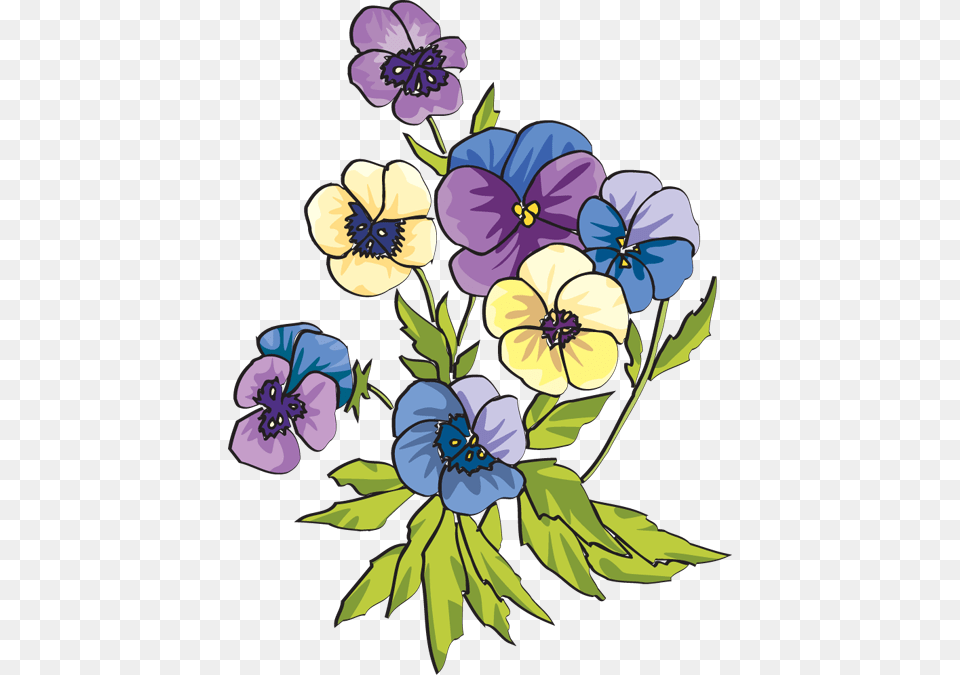 Pansies Pansy Clip Art, Flower, Plant, Anemone, Pattern Free Png