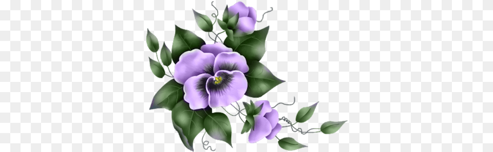 Pansies Purple Pansies Flower Transparent, Plant Free Png