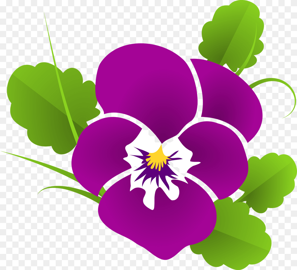 Pansy Clipart, Flower, Plant, Purple Free Png