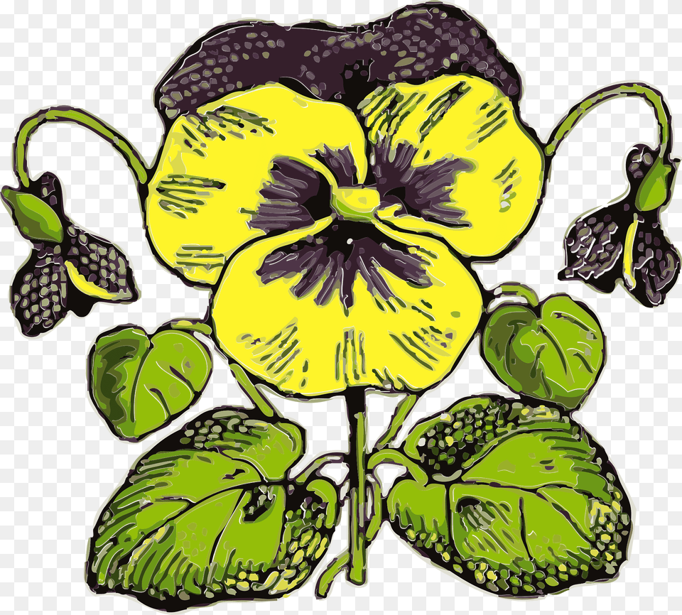 Pansy Clipart, Flower, Plant, Baby, Person Free Transparent Png