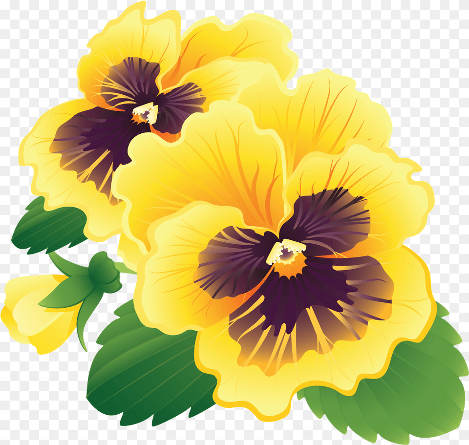 Pansy Clipart Transparent Pansy Flowers, Flower, Plant Free Png