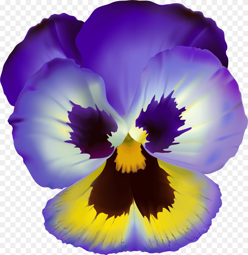 Pansy Drawing Viola Flower Violet Flower Clip Art Free Transparent Png