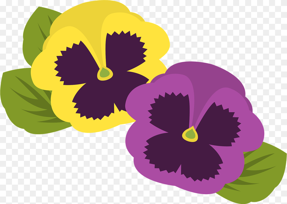 Pansy Flower Clipart, Plant Free Transparent Png