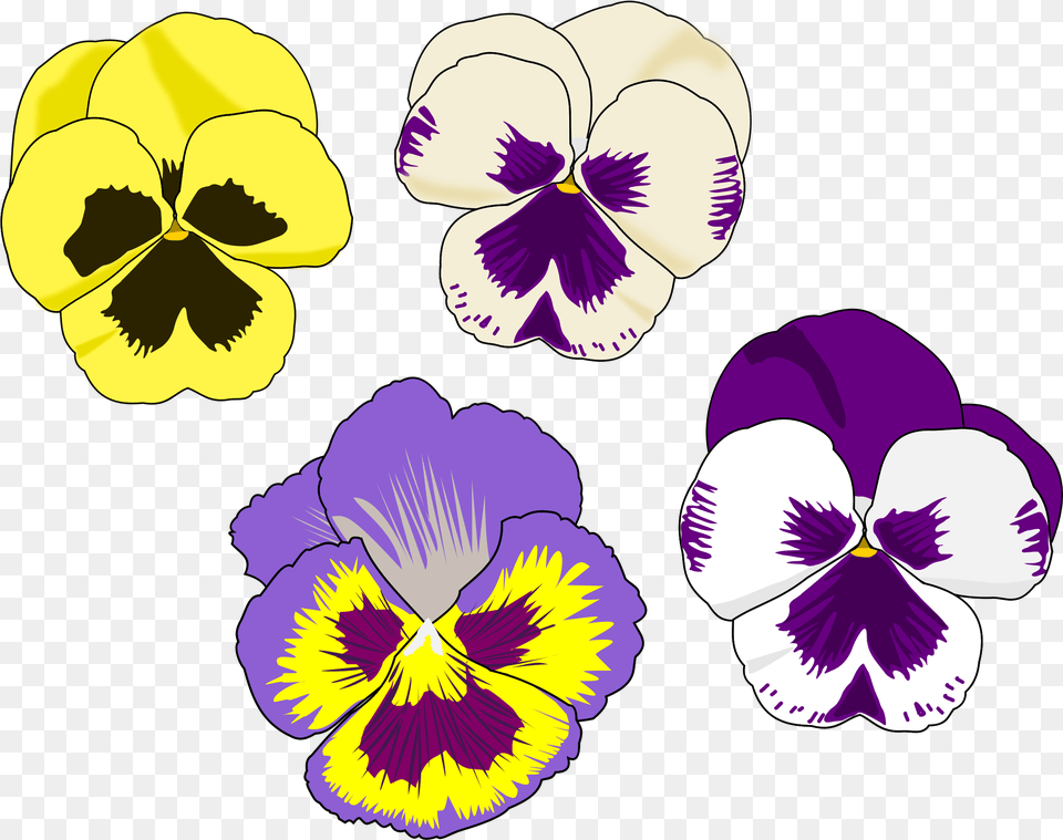 Pansy Selection Flower Drawing Pansies Art Line Pansy Clipart, Plant, Animal, Bird Free Png