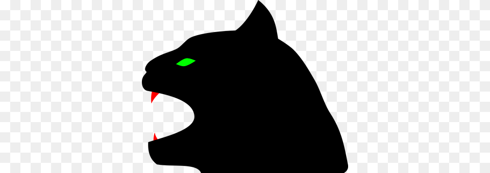Panther Lighting, Light, Green Png Image