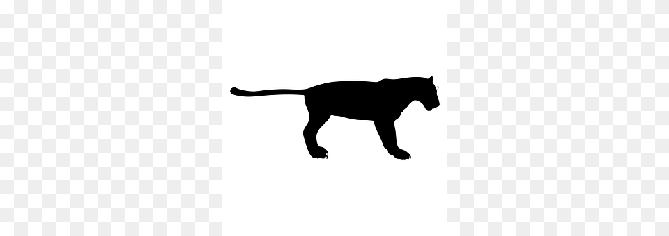 Panther Silhouette, Stencil, Animal, Canine Free Transparent Png