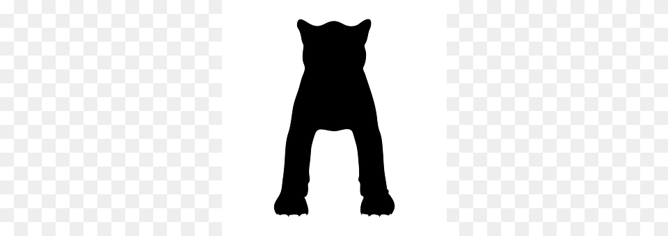 Panther Silhouette, Animal, Cat, Mammal Png Image