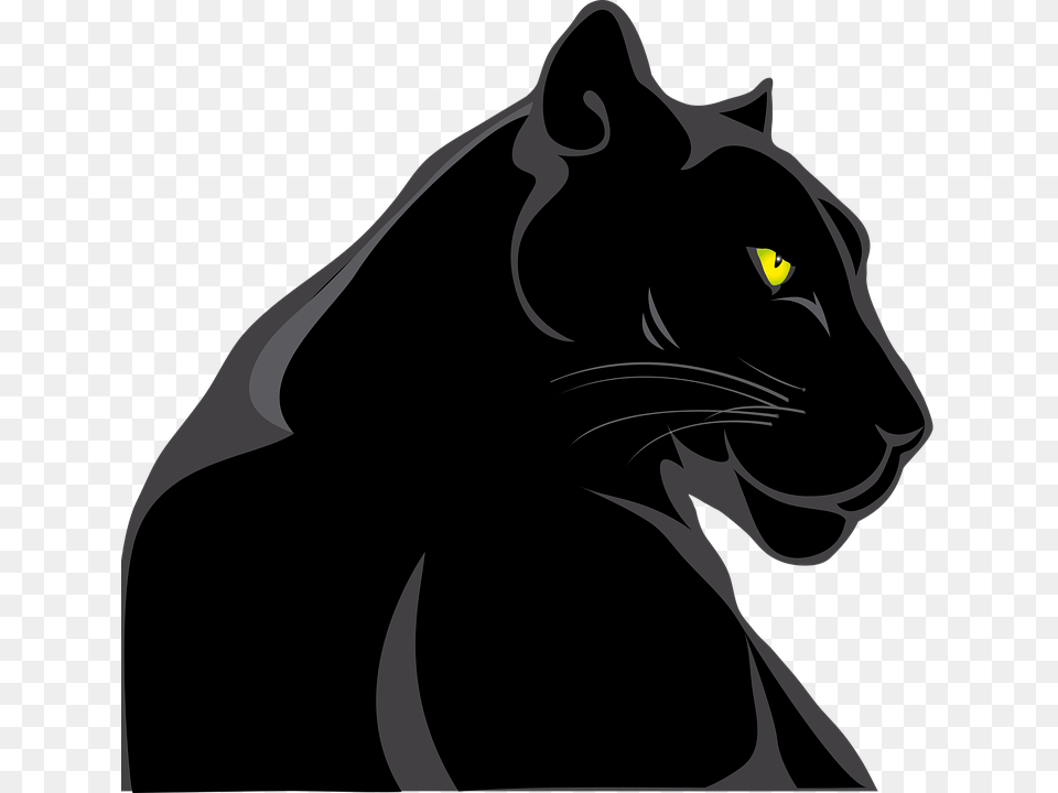 Panther Animals Feline Wild Animal World Pantera, Mammal, Wildlife Free Png
