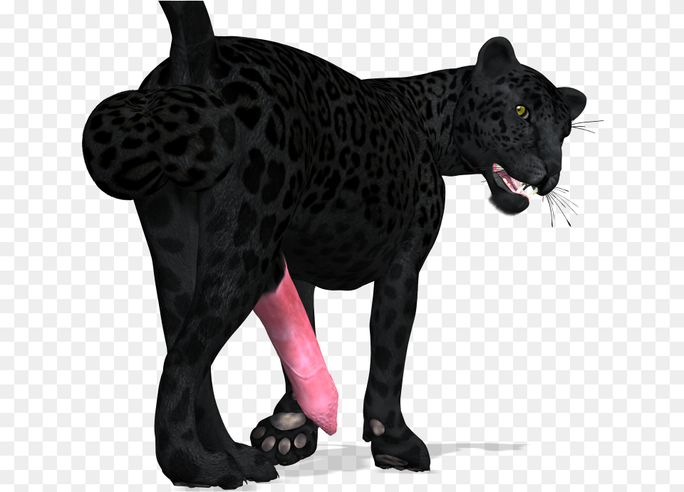 Panther Cat Computer Icons Black Panther Animal, Mammal, Wildlife Free Transparent Png