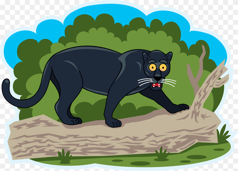 Panther Clipart, Animal, Mammal, Wildlife, Bear Png Image