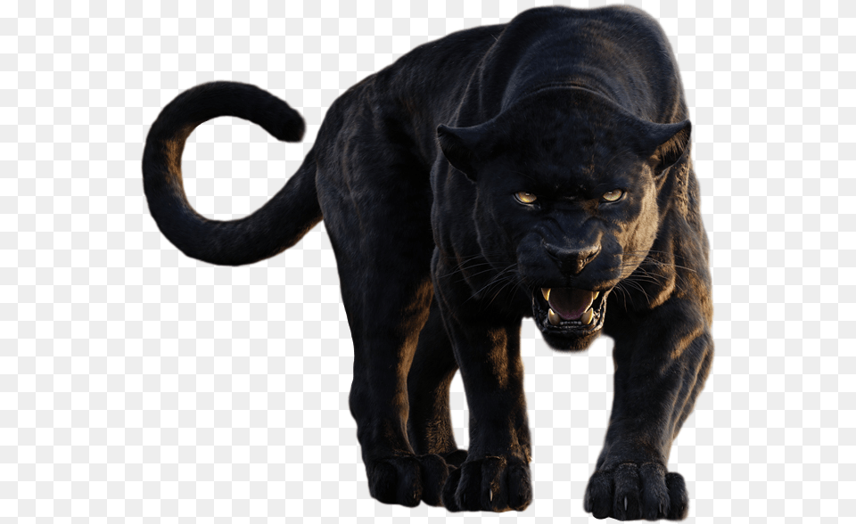 Panther Clipart Jungle Book Bagheera Roar, Animal, Mammal, Wildlife, Lion Free Transparent Png