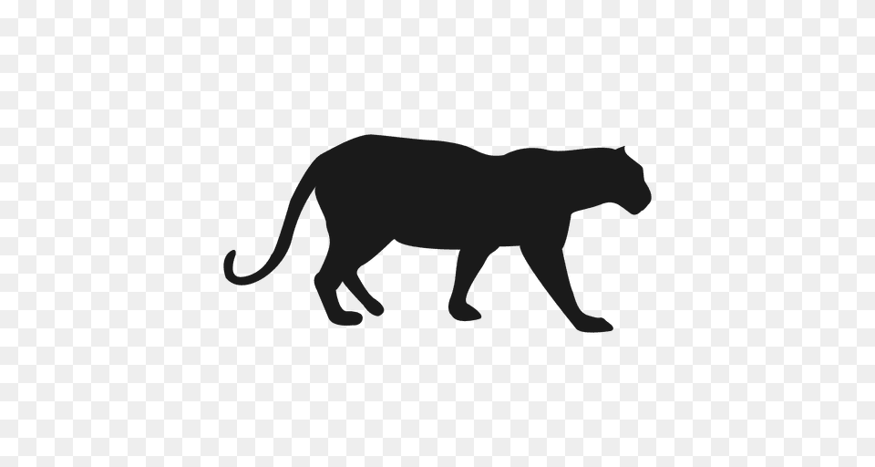 Panther Silhouette, Animal, Bear, Mammal, Wildlife Free Png Download