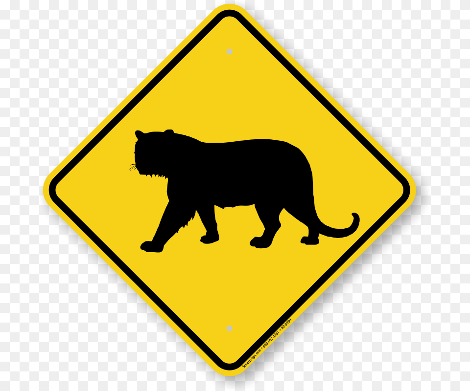 Panther Size Vs Human, Animal, Bear, Mammal, Sign Free Transparent Png