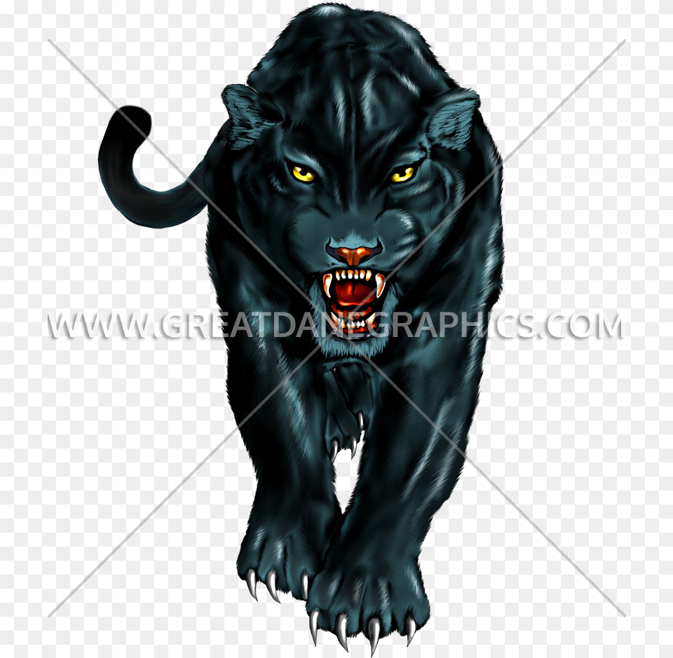 Panther Walking, Animal, Mammal, Wildlife, Tiger Png