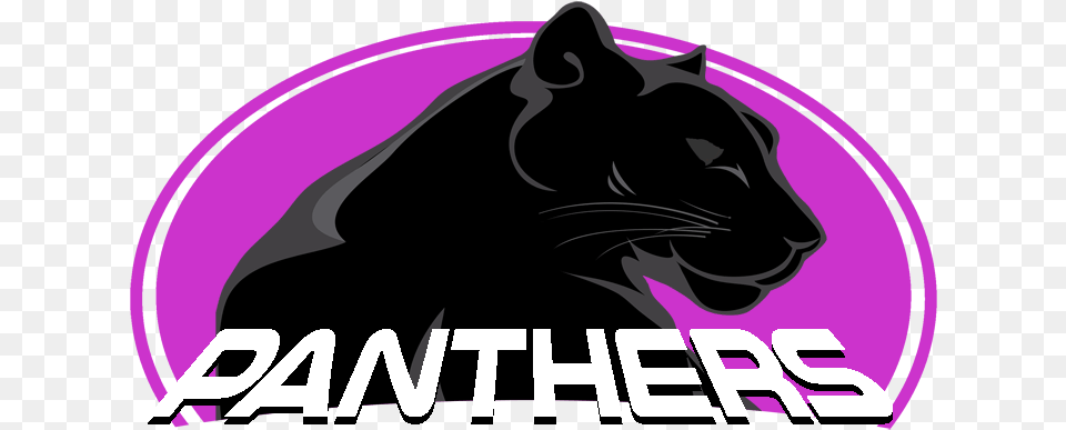 Panthers Cougar, Animal, Mammal, Panther, Wildlife Png Image