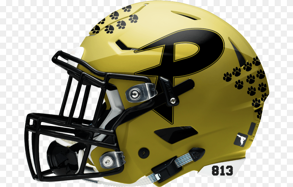 Panthers Helmet, American Football, Sport, Football Helmet, Football Png Image