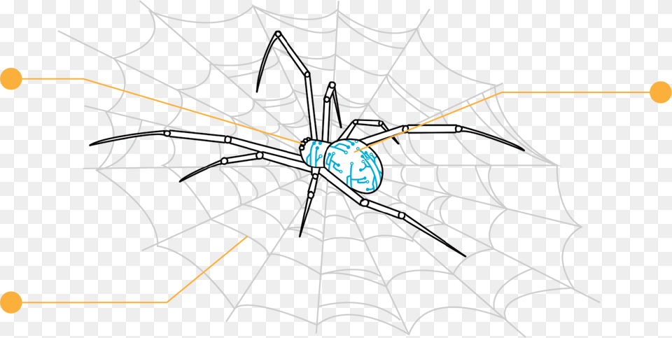 Pantide Spider Web, Animal, Invertebrate, Bow, Weapon Free Png Download