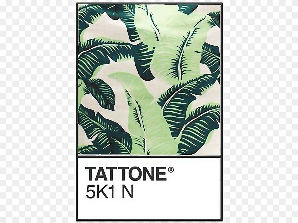 Pantone Leaves Pattern Leaf Nature Jungle Tropical Green Overlay Aesthetic, Advertisement, Plant, Poster, Art Free Png Download