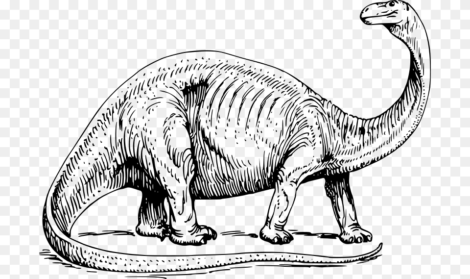 Papapishu Brontosaurus, Gray Free Transparent Png