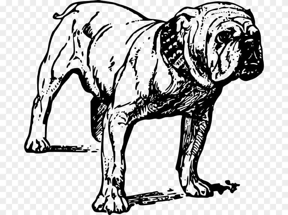 Papapishu Bulldog, Gray Free Png Download