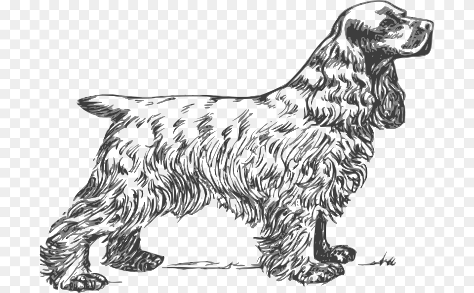 Papapishu Coker Spaniel Grayscale, Animal, Canine, Mammal, Cocker Spaniel Png