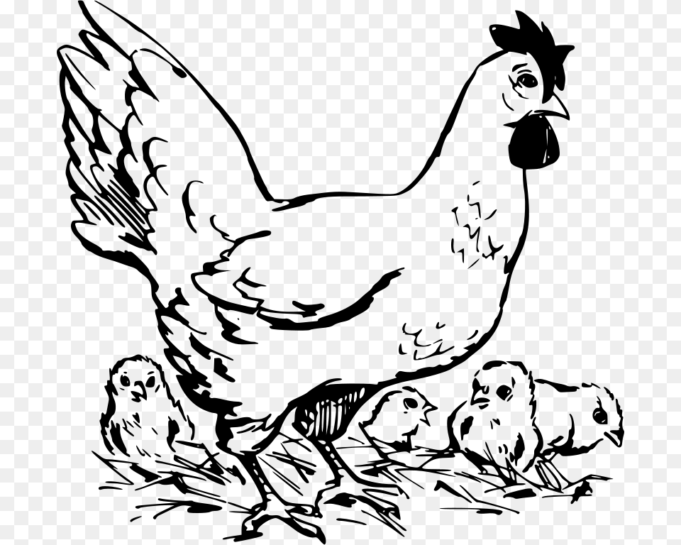 Papapishu Hen And Chickens, Gray Png