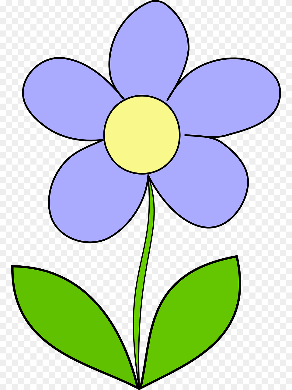 Papatya, Anemone, Petal, Plant, Flower Png