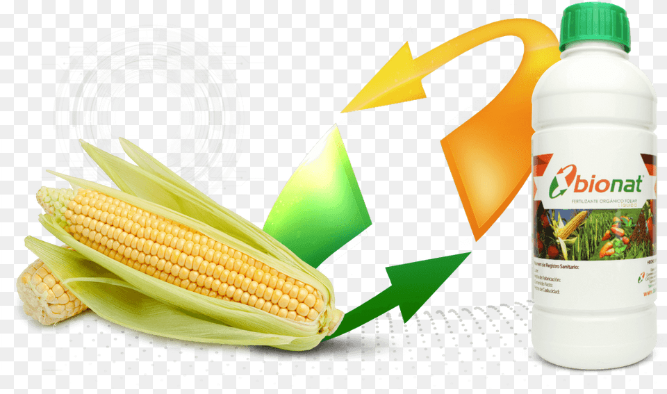Papaya, Food, Produce, Grain, Corn Png Image
