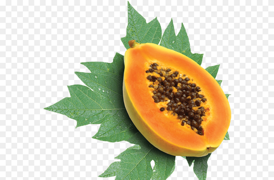 Papaya Fruit, Food, Plant, Produce, Citrus Fruit Free Png