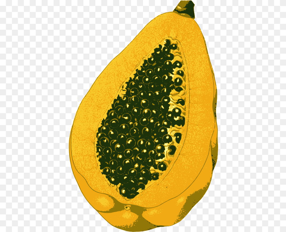 Papaya Fruit Openclipart Paw Paw Tree, Food, Plant, Produce Png Image