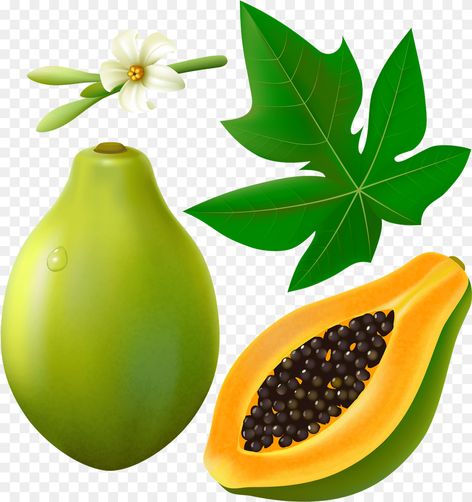 Papaya Fruits With Leaf And Flower Clip Art Papaya Flower, Food, Fruit, Plant, Produce Png Image