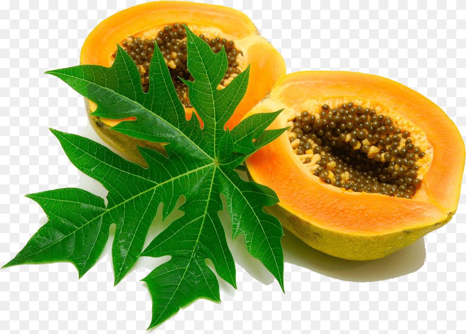 Papaya Papaya Leaves, Food, Fruit, Plant, Produce Png Image