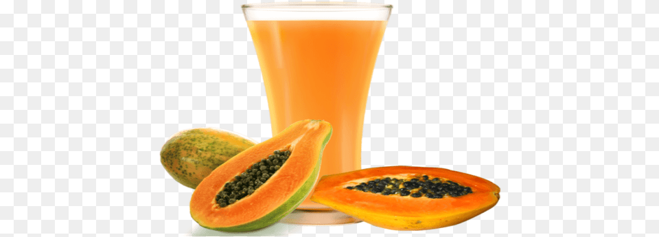 Papaya Juice Hirt39s Gardens Tainung Papaya Tree Carica Papaya, Food, Fruit, Plant, Produce Png