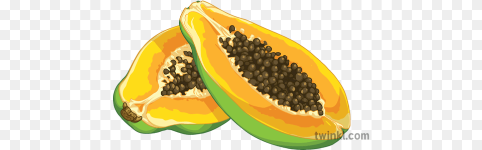 Papaya Slice Open Fruit Science Secondary Illustration Twinkl Superfood, Produce, Plant, Food, American Football Free Png Download