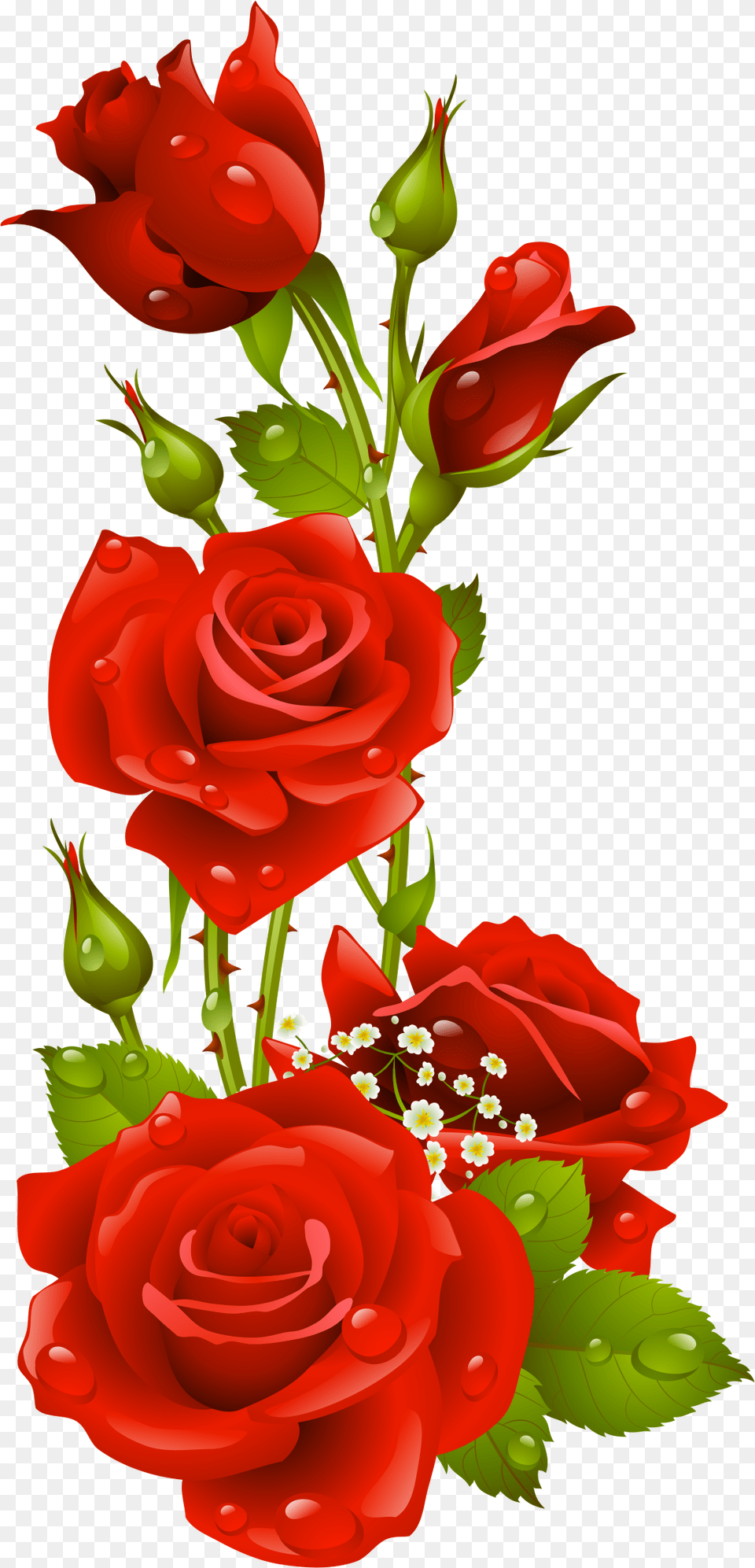 Papel De Carta Em Rosas Vermelhas, Flower, Flower Arrangement, Flower Bouquet, Plant Free Png