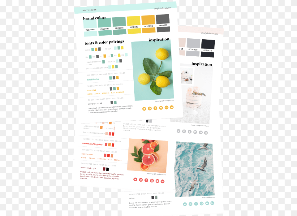 Paper, Grapefruit, Produce, Plant, Citrus Fruit Free Png Download