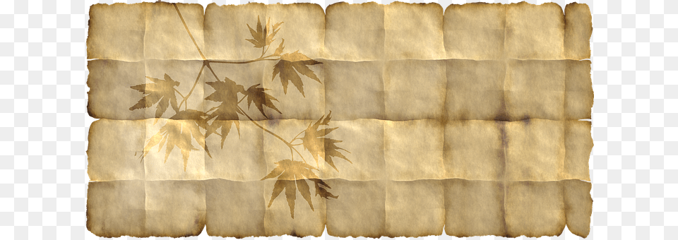 Paper Leaf, Plant, Texture, Home Decor Free Transparent Png