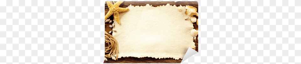 Paper, Animal, Sea Life Free Png Download