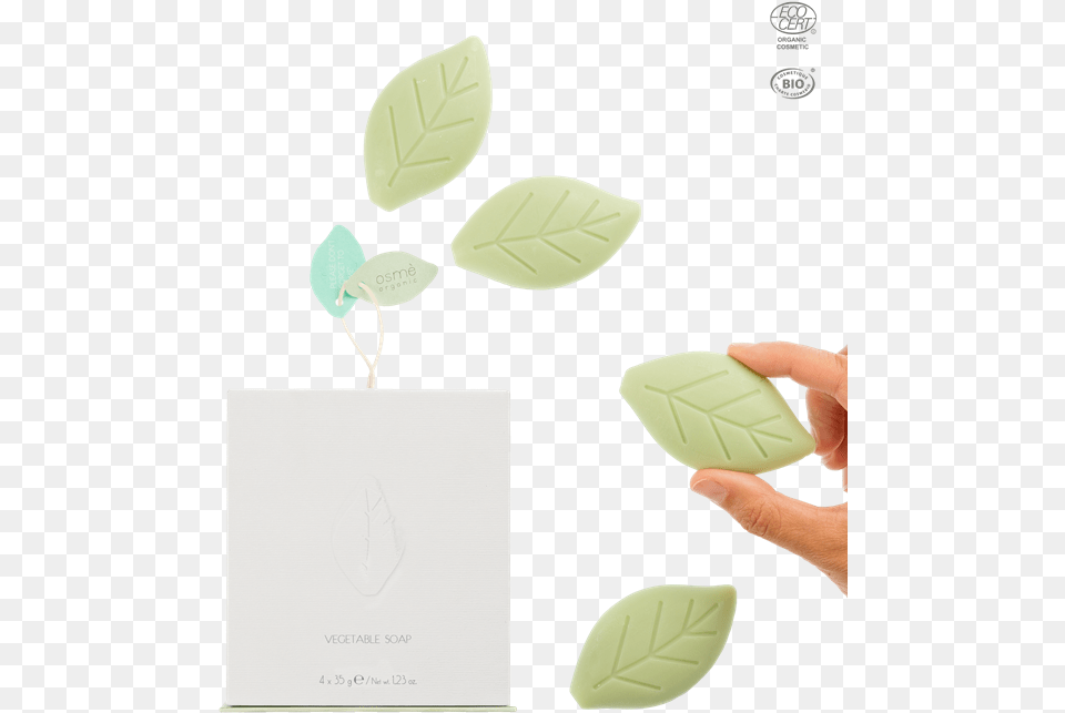 Paper, Leaf, Plant, Herbal, Herbs Free Transparent Png