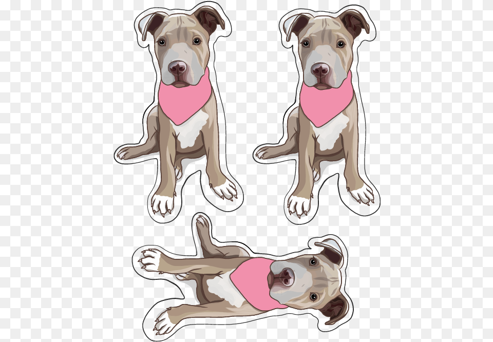 Paper, Animal, Canine, Dog, Mammal Free Transparent Png