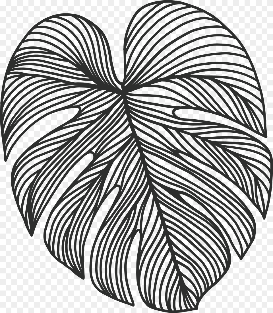 Paper, Leaf, Plant, Art, Drawing Free Png Download
