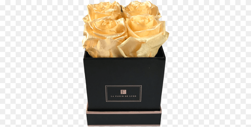 Paper Bag, Box, Flower, Plant, Rose Png