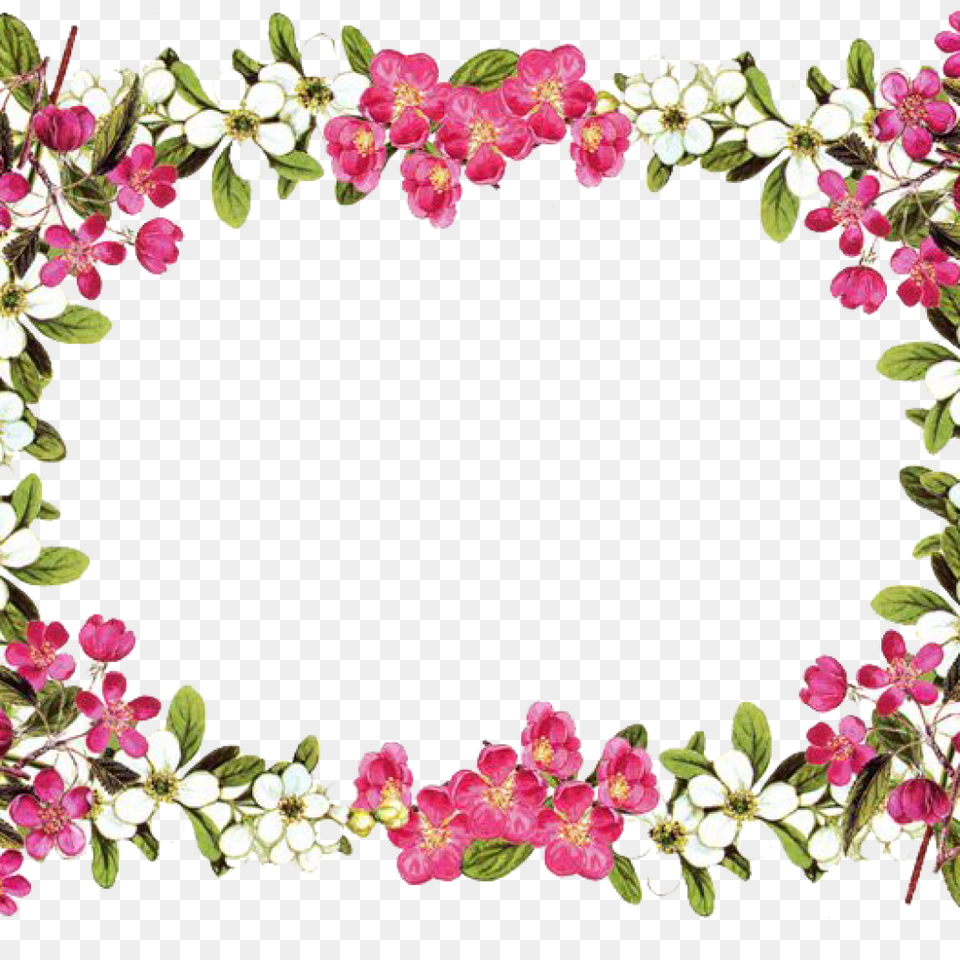 Paper Borders And Frames Flower Rose Clip Art Flower Border, Floral Design, Flower Arrangement, Graphics, Pattern Free Png