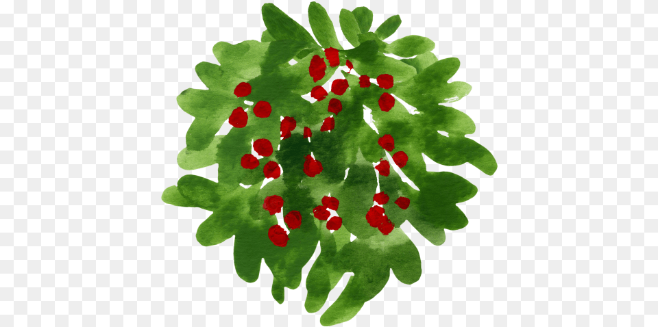 Paper Christmas Placemats Australia, Plant, Leaf, Pattern, Fern Png Image