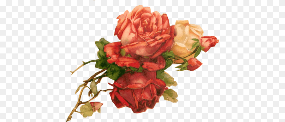 Paper Crafts U2013 Vintage Pieces For Collagealtered Art Vintage Red Red Roses Transparent Background, Flower, Flower Arrangement, Flower Bouquet, Plant Free Png Download